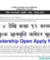Nepal Health Research Council Job Vacancy Apply Swasthya Anusandhan Parishad
