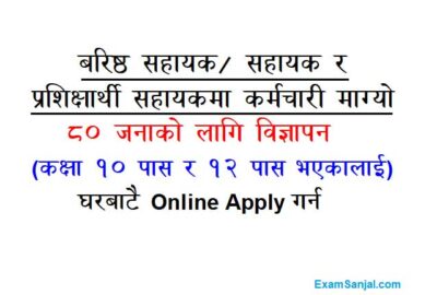 Summit Laghubitta Job Vacancy Apply Laghubitta Microfinance jobs in Nepal