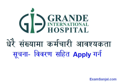Grande International Hospital Job Vacancy Apply Grande Hospital Jobs