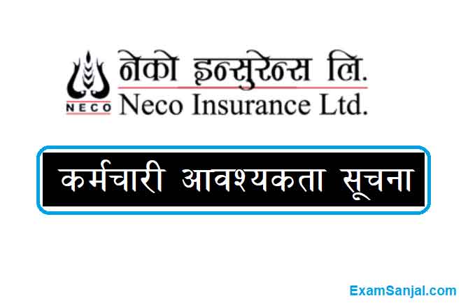 Neco Insurance Company Job Vacancy Apply Neco Insurance jobs