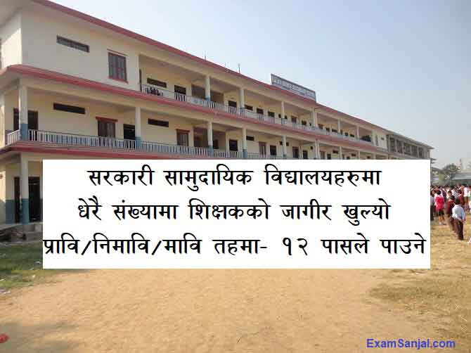 Teacher Job Vacancy Nepal Shikshak Vacancy Notice Government Community School