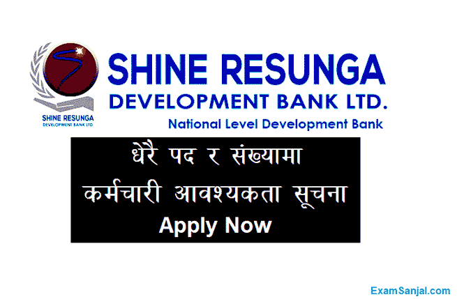 Shine Resunga Development Bank Job Vacancy Apply Bank Jobs in Nepal