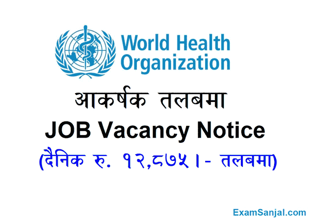 WHO Job Vacancy World Health Organization Job Vacancy Apply Now