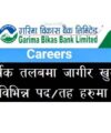 Dhaulagiri Laghubitta Bittiya Sanstha Job Vacancy Notice Microfinance