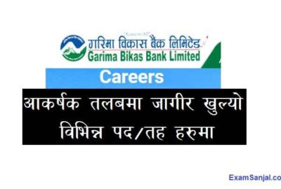 Garima Bikash Bank Job Vacancy Apply Banking Job Nepal