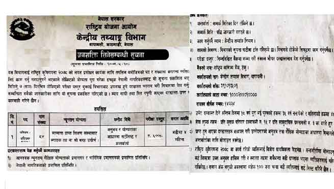 Central Statistics Department Tathynka Bivag Government Job Vacancy Nepal