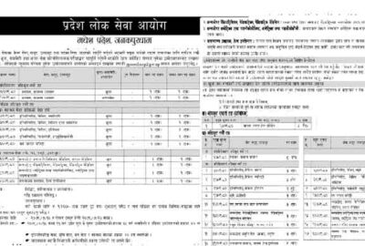 Madhesh Pradesh Lok Sewa Aayog Job Vacancy Apply Pradesh 2 Jobs