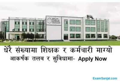 Delhi Public School Job Vacancy Teacher Staff Job Apply