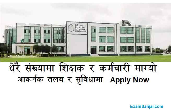 Delhi Public School Job Vacancy Teacher Staff Job Apply