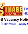 Manjushree Finance Ltd Job vacancy notice Banking Jobs Nepal