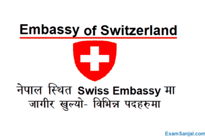 Embassy of Switzerland Swiss Job Vacancy Notice Embassy Job Nepal