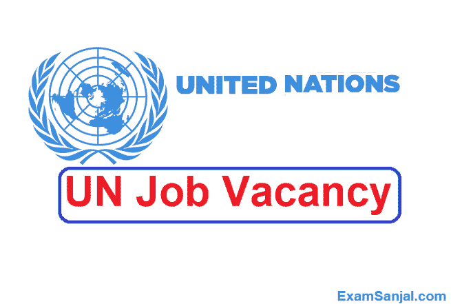 UNDP Project Job Vacancy Apply NGO INGO Project Jobs in Nepal