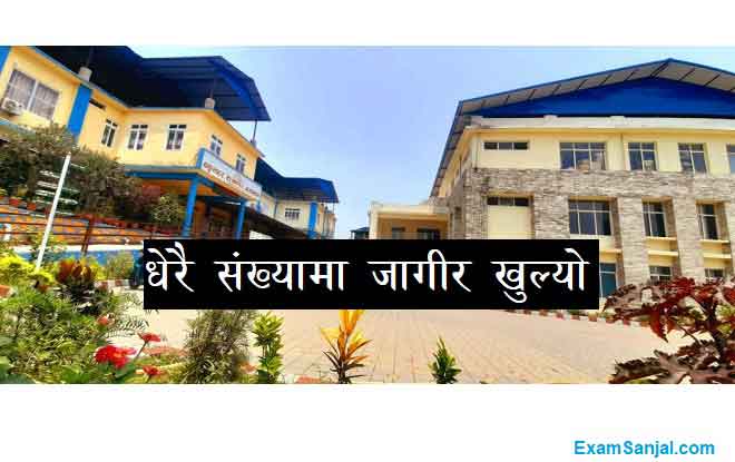 Bakulahar Ratnanagar Hospital Job Vacancy Apply Bagmati Pradesh Hospital Jobs