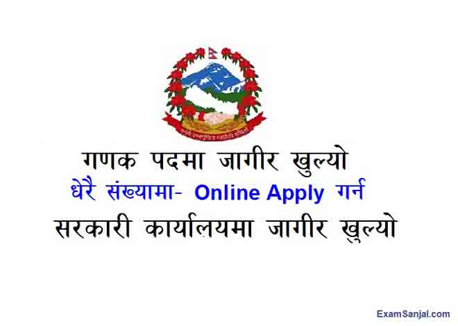 Gadak Job Vacancy Apply Nagarpalika Gaupalika Pradesh Jobs