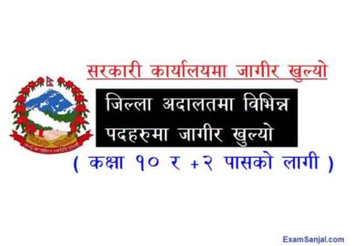 Government Office Job Vacancy Sarkari Jagir Nokari Apply Now