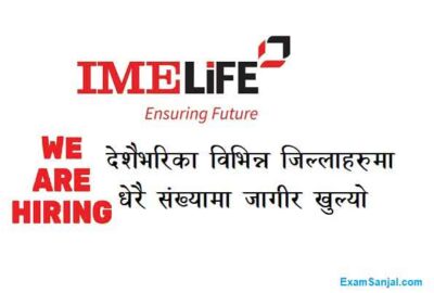 IME Life Insurance Company Job Vacancy Apply IME Life Jobs