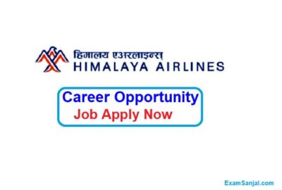 Himalaya Airlines Career Opportunity Job Vacancy Apply