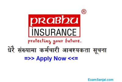 Prabhu Insurance Limited Company Job Vacancy Apply Insurance Jobs