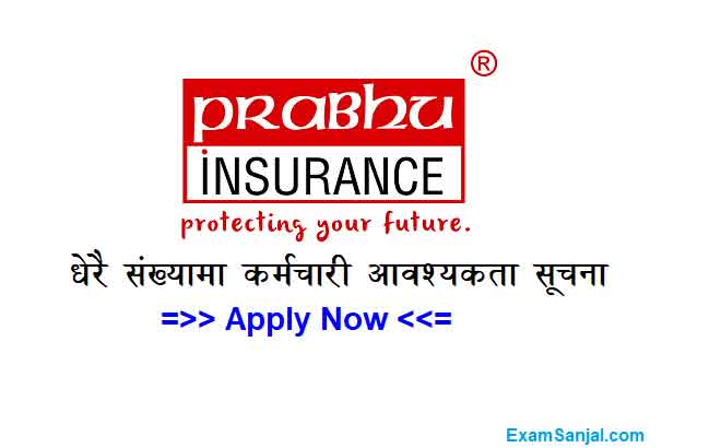 Prabhu Insurance Limited Company Job Vacancy Apply Insurance Jobs