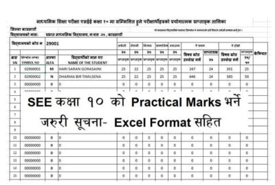 SEE Practical Marks Entry Format Class 10 Practical Marks