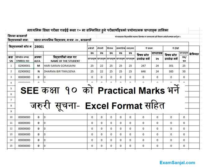 SEE Practical Marks Entry Format Class 10 Practical Marks