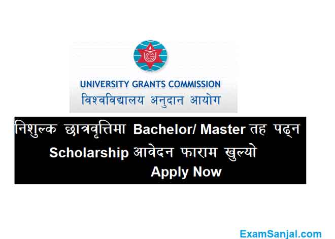 Higher Education Bachelor Master Scholarship Application Open by University Grant Commission UGC