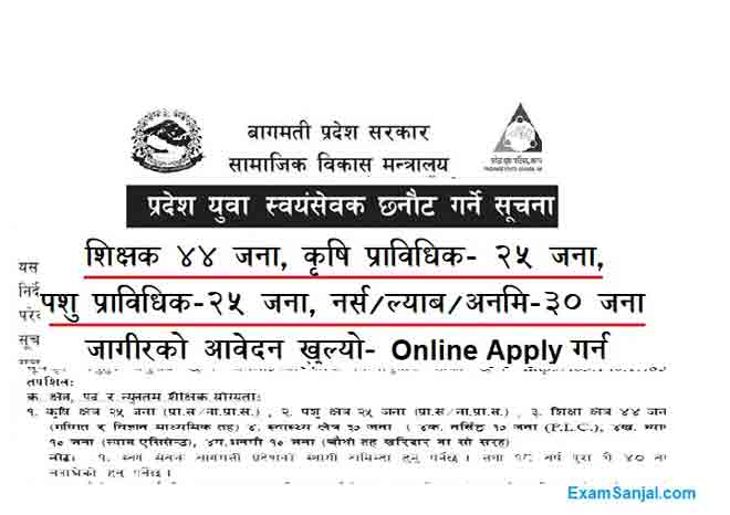 Bagmati Pradesh Volunteer Swoyamsebak job vacancy Apply Volunteer Jobs Bagmati
