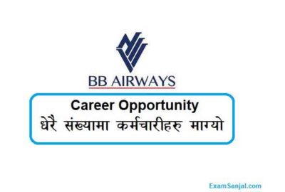 BB Airways Job Vacancy Apply BB Airlines Company Jobs