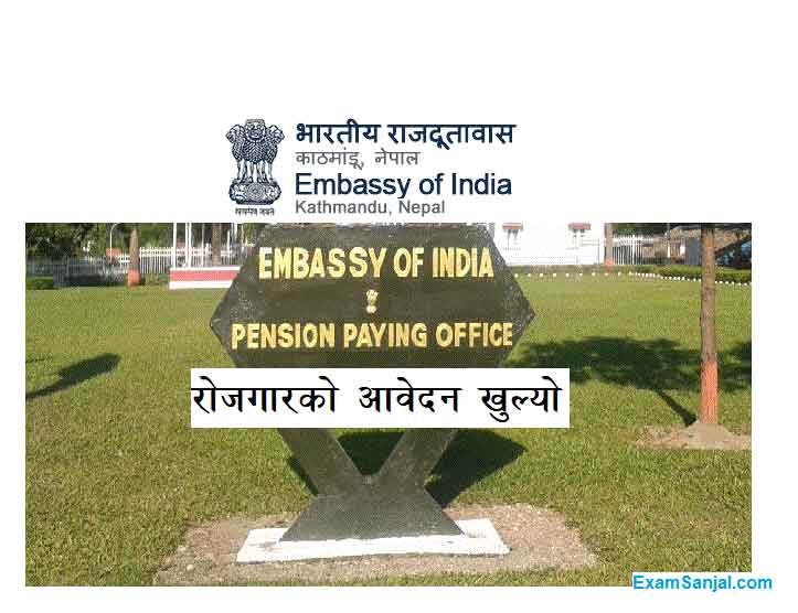 Indian Embassy Pension Paying Office Job Vacancy Apply Rajdutawas Job