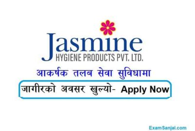 Jasmine Hygiene Product Company Job Vacancy Apply Jasmine Hygiene