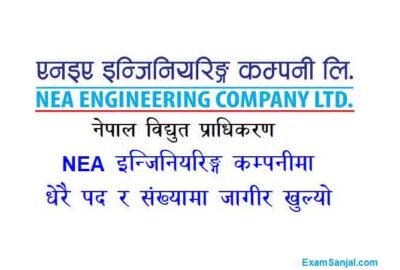 NEA Engineering Company Job Vacancy Apply Nepal Electricity Authority Engineer jobs