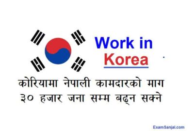 South Korea Working Visa EPS Topik Korea for Nepalese may increase