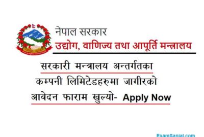 The Ministry of Industries Commerce & Supplies Job Vacancy Apply Udhyog Banijya Apurti Job