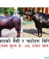 Madhesh Pradesh Lok Sewa Aayog Result PPSC P2 Gov np result check