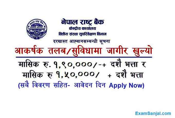 Nepal Rastra Bank NRB Job Vacancy Apply Contract Service Nepal Rastra Bank