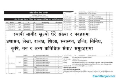 Koshi Pradesh 1 Lok Sewa Job Vacancy Apply Psconline P1 Gov Np Job Apply