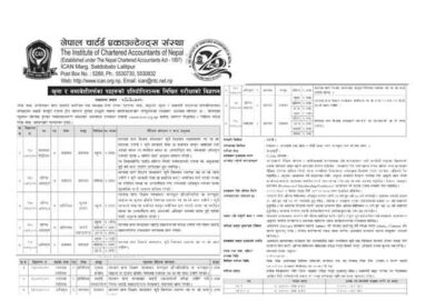 Nepal Chartered Accountants Sanstha Job Vacancy Career Ican org np Apply