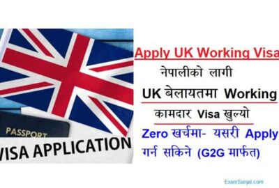 UK Working Visa Application Open Nursing Work Visa United Kingdom Belayat Apply