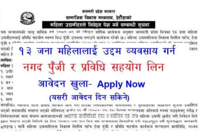 Government Sarkari Anudan Grant Application Open Women Enterprunership Pradesh Sarkar Anudan