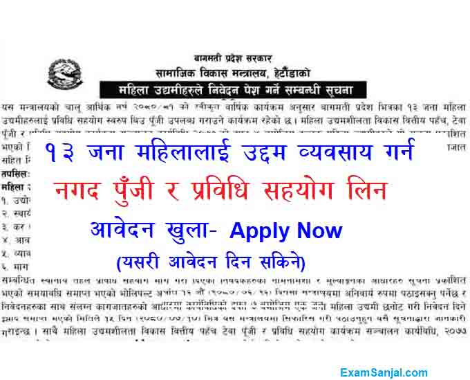 Government Sarkari Anudan Grant Application Open Women Enterprunership Pradesh Sarkar Anudan