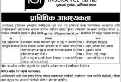 IGI Prudential Insurance Job Vacancy Apply Insurance Bima Jobs Nepal