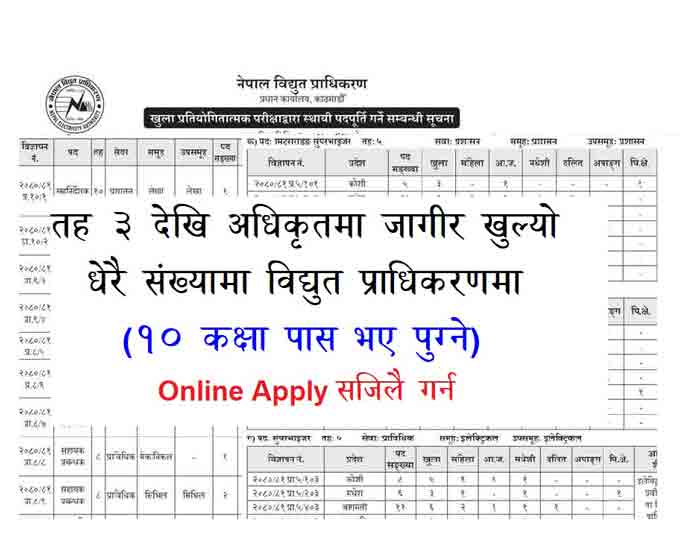Recruitment NEA Org Np Job Apply Nepal Electricity Bidyut Pradhikaran Job Vacancy Online