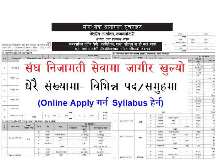 Section Officer Adhikrit Job Vacancy Lok Sewa Nijamati Sangh Adhikrit Apply Sarkari Vacancy