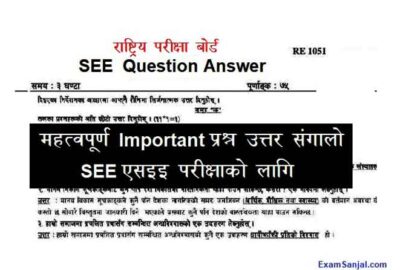 SEE Class 10 Important VIP Question Paper Answer Sheet SEE Model Set