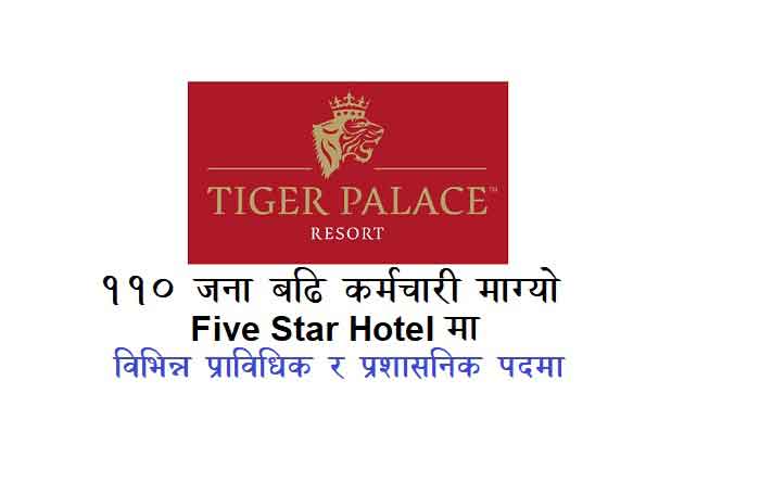 Tiger Palace Resort Hotel Management Service Job Vacancy