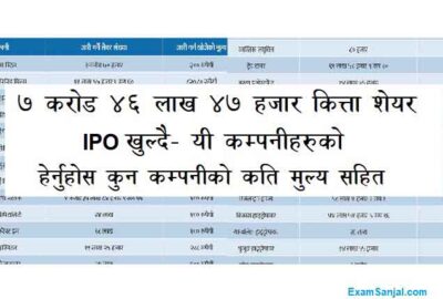 Upcoming IPO Share Alert Update IPO Open Pipeline Company Share Lists