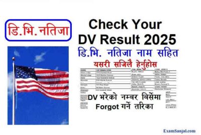 DV Lottery 2025 Result Check DV Program state gov America USA EDV Visa Result Name