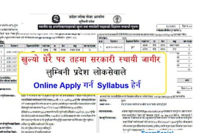 PPSConline Lumbini gov np Job Apply Lumbini Pradesh Lok Sewa Aayog Vacancy