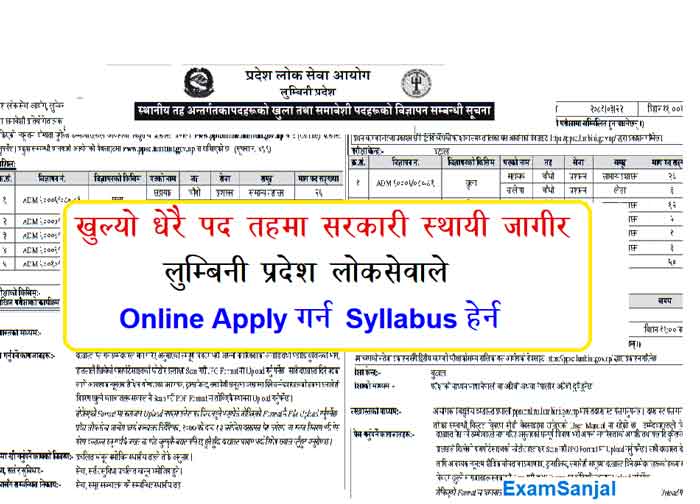 PPSConline Lumbini gov np Job Apply Lumbini Pradesh Lok Sewa Aayog Vacancy