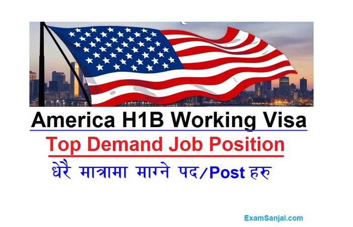 h1b america visa job position